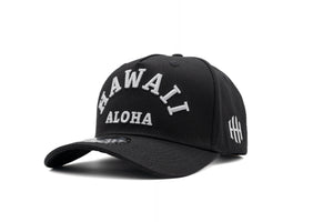 *NEW* HAWAII 26 (CURVED)